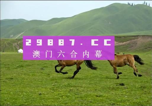 新澳门跑狗图,评估解答解释落实_影像版13.9.24