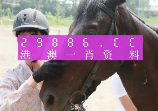 澳门一肖一码必中一码,资深解答解释落实_显示版33.75.66