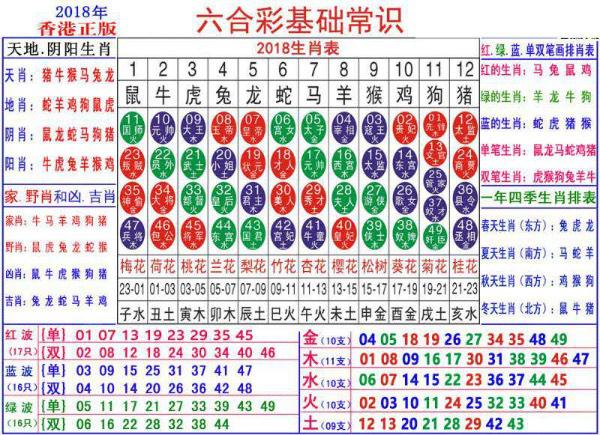 2024年11月20日