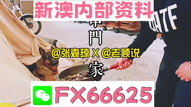 新澳门精准资料大全管家婆料,渠道解答解释落实_粉丝版34.29.3