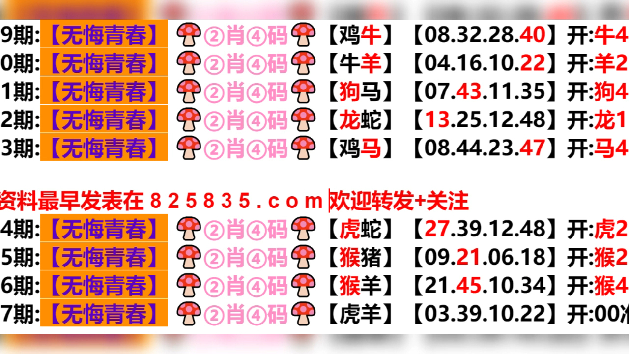 2024年新奥门天天开彩免费资料,适当解答解释落实_财务版79.60.40