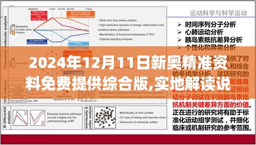 2024新奥资料免费精准071,合作解答解释落实_运动版78.44.25