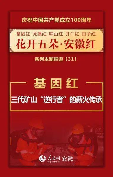 香港特马王资料内部公开,冷静解答解释落实_精华版91.92.9